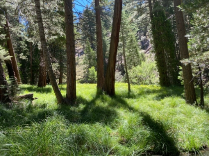 The meadow at Vivian Creek is always nice. It was still pitch black here on the way up.