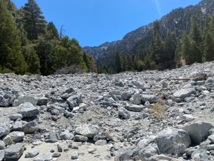 Vivian Creek 100% bone dry. It was bone dry even earlier in the Spring, the first time I'd ever seen that.