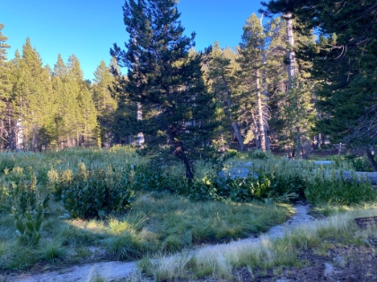 Coming back down through Little Round Valley in much better spirits than on the way up.
