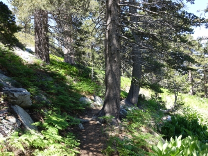 Tough to beat the singletrack here, even in a dry year.