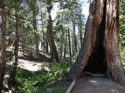 I've taken this same picture a couple of times in the snow.