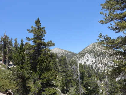 First view of the summit. It's still a long way away!