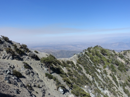 Heading back down the Devil's Backbone. I made it back to the trailhead at 5:42pm for the successful completion of the 3 Day Challenge. Including Mt. Baden-Powell on Monday, I had done 76 miles and 21,500' of elevation gain in 5 days. Not a bad week!  A few days later my challenge submission was accepted, making it all official...  Adventure16 3 Peak Challenge Finishers .