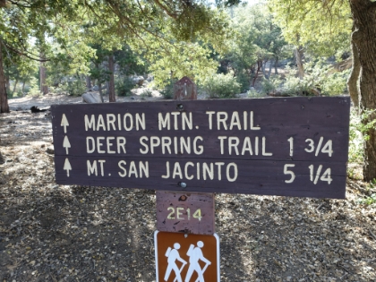 Heading out on the Marion Mtn trail after the long drive from home.