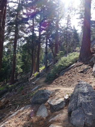 Always beautiful single track on this trail.