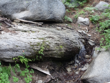Water flowing! This whole area was bone dry last time I was here.