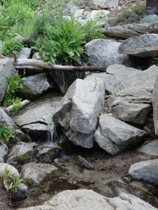 It was great to see several creeks still trickling along the way.