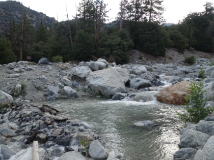 Heavy water flow in Mill Creek. That was a good sign for the day.