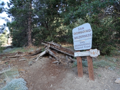 Into the San Goronio Wilderness. I would only see 2 people on 28 miles of trail today (excluding folks on the summit arriving via Vivian Creek).