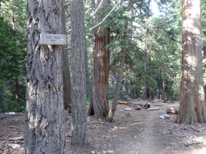 Made it to the Alger Creek backpacking camp, the first of several along the trail.