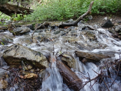 I want one of these in the backyard.