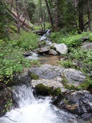 Looking up Alger Creek.