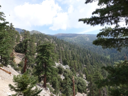 Climbing out of Alger Creek, the views are starting to open up, and you can see some of the fire damaged areas in the distance.