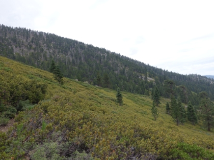 Heading across Plummer Meadows.