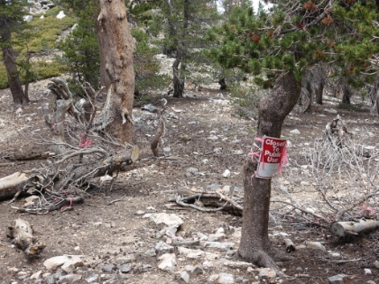 Made it to Dollar Lake Saddle where a number of trails intersect at almost exactly 10,000'. All the trails to the North are still closed from the fire.