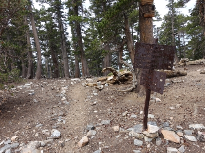 The Dollar Saddle junction. There's not many of these old trail signs left. I love them. I wonder what happens to them when they get replaced. The park service could probably make good money selling them.