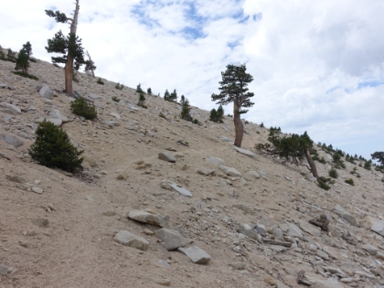 Above the treeline now, and it's pretty much a moonscape the rest of the way.