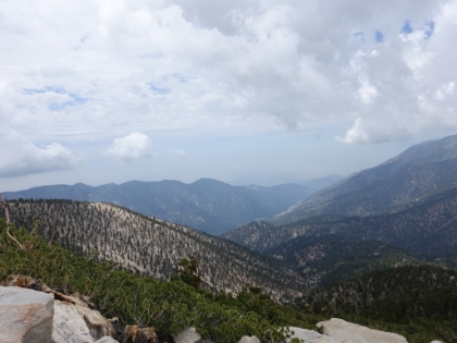 A look down to Mill Creek canyon far down below where I started the morning.