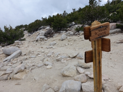 Made it to the junction with the Vivian Creek trail. There will be a little more traffic now given that Vivian Creek is much, much more popular. Momyer is actually a nicer trail, but people avoid it since it's so much longer. Hopefully it stays that way!