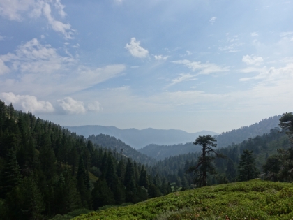 A nice late afternoon view out from Plummer Meadows.