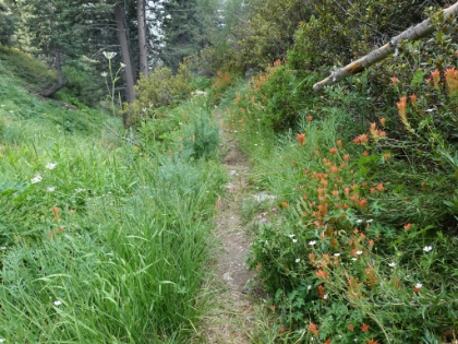 Enjoying the colors on the way back.