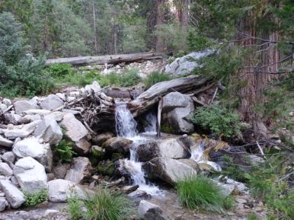 Dobbs Creek flowing at the bottom of the canyon. Almost a Sierra-esque cascade. Definitely a beautiful spot and well worth the sidetrip.