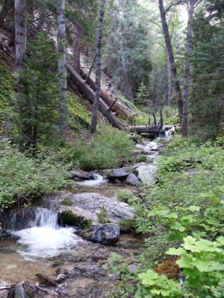 Almost back to Alger Creek now and the great creek views there.