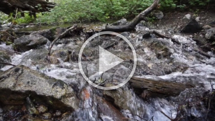 Adding in a little motion.