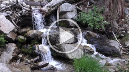 Adding a little sound and motion to Dobbs Creek.