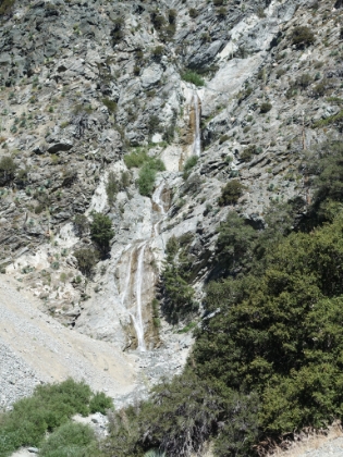The customary San Antonio Falls shot to start the day. There was still pretty good water flow. The start of the Baldy Bowl trail is easy to miss if you're not paying attention. I had never missed it before, but I must have been so tired this morning, that I walked right by it. I was 1/2 mile farther up the fireroad before I realized it. I did not need to add an additional mile and 300' of gain to the day! Dumb mistake.