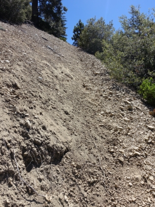 A typical section of "trail" on Register Ridge. 2,700' of gain in 1.4 miles. The toughest 1.4 miles in SoCal. Thank goodness it isn't any longer.