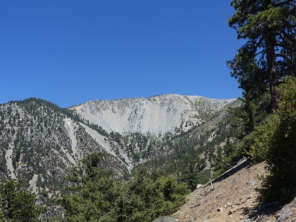 A look at Baldy Bowl and the Ski Hut in the distance. My goal for the day was to be able to hike the fun part of the Backbone trail without having to suffer through the 7 miles of fireroad. Register Ridge is one way to do that, but it sure is a butt kicker.