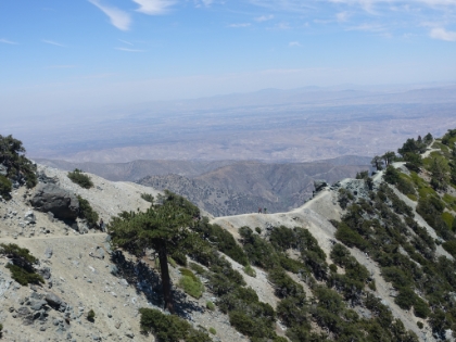 A couple people coming up the Backbone Trail. It's about as distinct a ridge as you will find anywhere in SoCal.