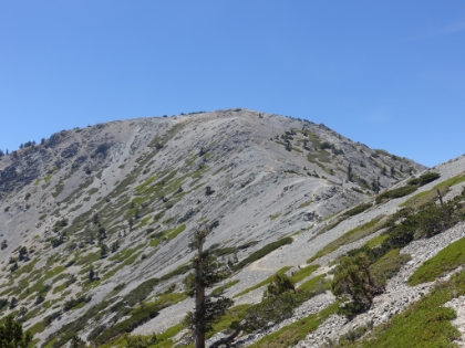 Now past where I had come up Register Ridge and ready to finish the summit. You can see the trail winding it's way to the top. It's a bit like Half Dome where you can see little specks of people near the top.