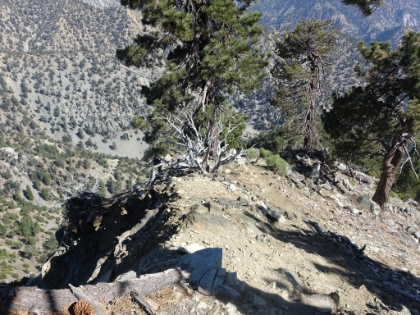 Back down Register Ridge. It's a pretty distinct backbone in places here as well.