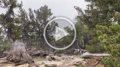 Just as I was leaving the summit, I got hit by a cloudburst of beanbag pellet sized hail and then heavy rain.