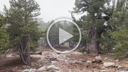 I was just in shorts and a rain shell, and it was getting really cold fast. While it was fun for a bit, I was glad it didn't last too long.