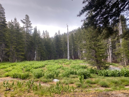 Little Round Valley just after the rain.