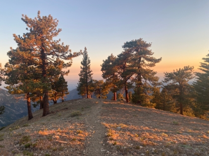 Week 2- Baldy via Bear Canyon