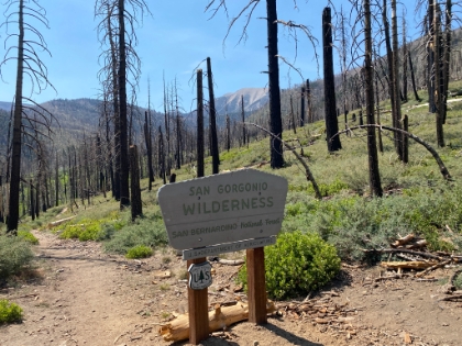 Entering the San Gorgonio Wilderness with the peak in the background.