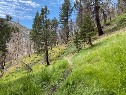 A nice area of green below the saddle.
