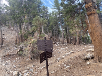 Dollar Lake Saddle at 10,000'.