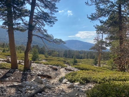 Approaching Dry Lake and things are starting to get green again.