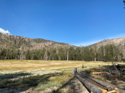 Dry Lake. Completely dry this year, but it made for a gorgeous meadow view.
