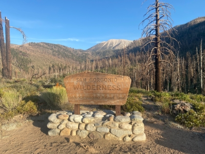 Almost back down. I had never taken the little detour out to Poopout Hill before, so today I did. Here's the view from the top of the hill. Must have been even nicer before the fire!