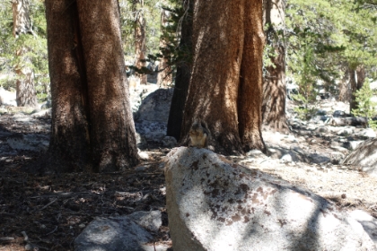 No matter how many squirrels we saw, Aidan was equally fascinated every time.