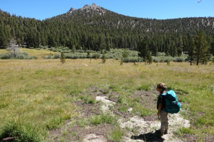 Aidan's first meadow view. Fortunately the meadows were still quite green in late August even in this dry year.