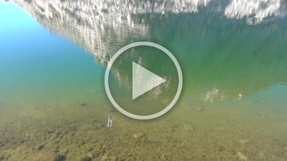 Aidan was endlessly amused by throwing rocks and watching the shadows of the ripples create interesting effects.