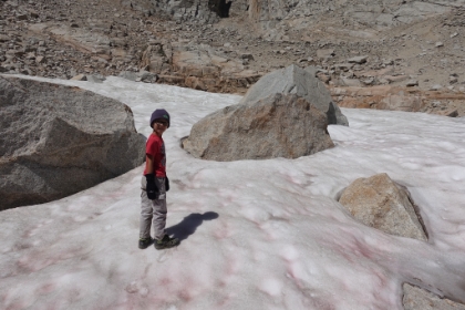 Success. Aidan's first time in snow! It was packed and a little dirty, but not bad for late August.