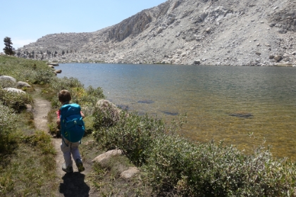 We took a different way back to explore some new trail and almost make a loop. The trail here was a bit harder to follow though, which had me a little worried. Aidan still wasn't feeling too hot, and I didn't want to have to backtrack if this route didn't work out.